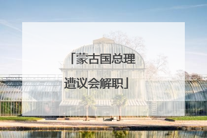 蒙古国总理遭议会解职