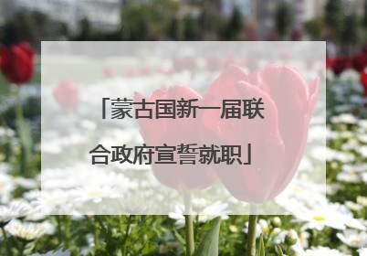蒙古国新一届联合政府宣誓就职