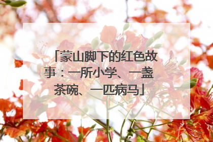 蒙山脚下的红色故事：一所小学、一盏茶碗、一匹病马