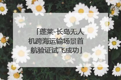 蓬莱-长岛无人机跨海运输场景首航验证试飞成功