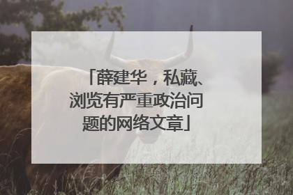 薛建华，私藏、浏览有严重政治问题的网络文章