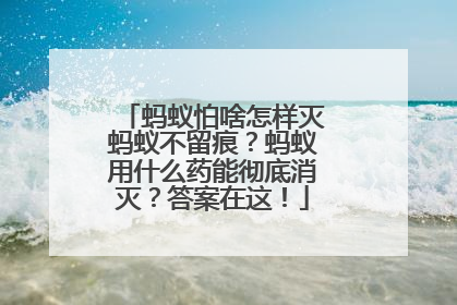 蚂蚁怕啥怎样灭蚂蚁不留痕？蚂蚁用什么药能彻底消灭？答案在这！