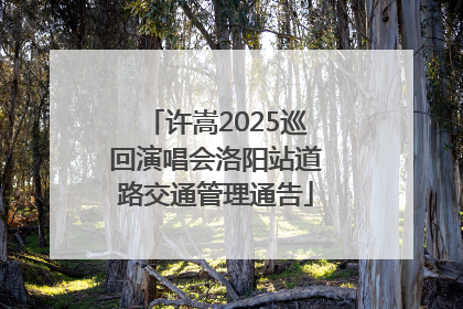 许嵩2025巡回演唱会洛阳站道路交通管理通告