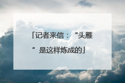 记者来信：“头雁”是这样炼成的