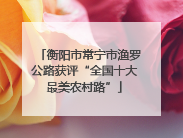 衡阳市常宁市渔罗公路获评“全国十大最美农村路”