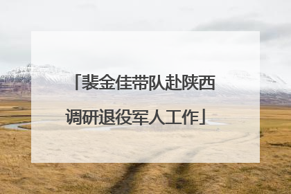 裴金佳带队赴陕西调研退役军人工作