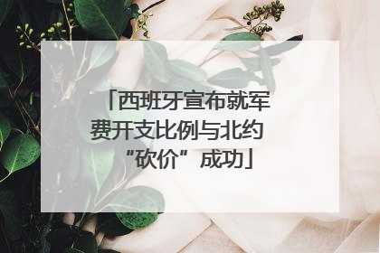 西班牙宣布就军费开支比例与北约“砍价”成功