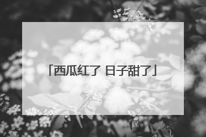 西瓜红了 日子甜了