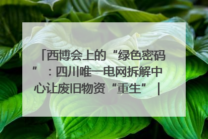 西博会上的“绿色密码”：四川唯一电网拆解中心让废旧物资“重生”｜西博寻“新”记