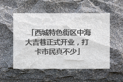 西城特色街区中海大吉巷正式开业，打卡市民真不少
