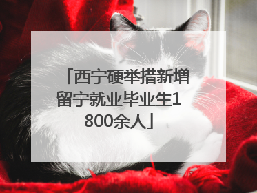 西宁硬举措新增留宁就业毕业生1800余人