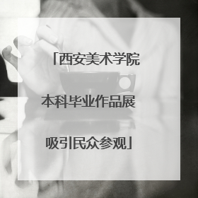 西安美术学院本科毕业作品展吸引民众参观