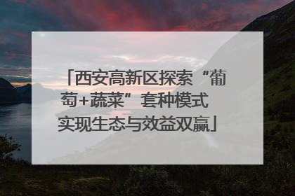 西安高新区探索“葡萄+蔬菜”套种模式 实现生态与效益双赢