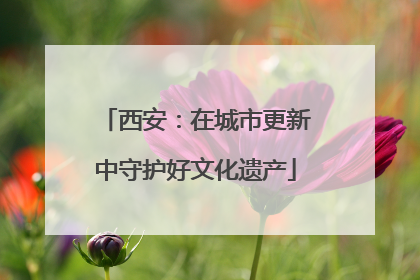 西安：在城市更新中守护好文化遗产