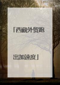 西藏外贸跑出加速度