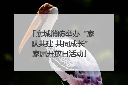 襄城消防举办“家队共建 共同成长”家属开放日活动