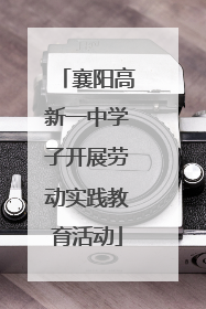 襄阳高新一中学子开展劳动实践教育活动