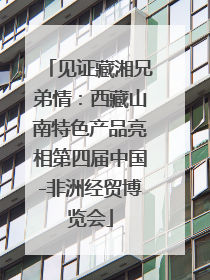见证藏湘兄弟情：西藏山南特色产品亮相第四届中国-非洲经贸博览会