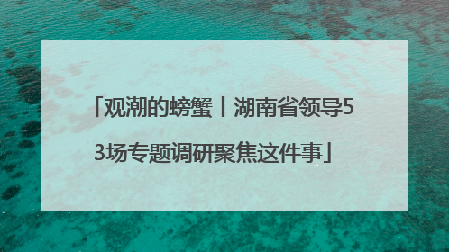 观潮的螃蟹丨湖南省领导53场专题调研聚焦这件事