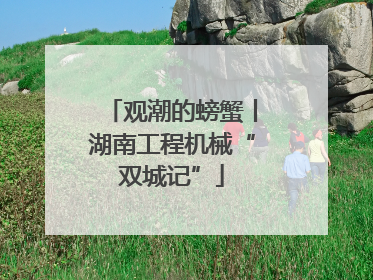 观潮的螃蟹丨湖南工程机械“双城记”