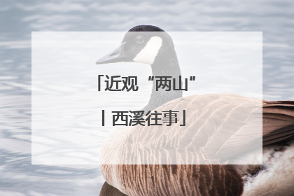 近观“两山”丨西溪往事