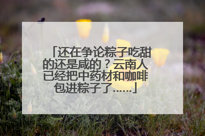 还在争论粽子吃甜的还是咸的？云南人已经把中药材和咖啡包进粽子了……