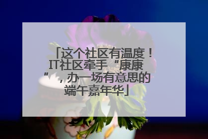 这个社区有温度！IT社区牵手“康康”，办一场有意思的端午嘉年华