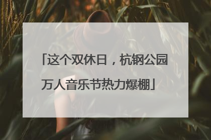 这个双休日，杭钢公园万人音乐节热力爆棚