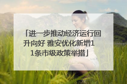进一步推动经济运行回升向好 雅安优化新增11条市级政策举措