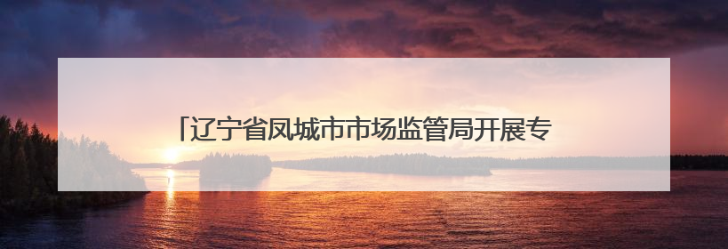 辽宁省凤城市市场监管局开展专项整治行动守护“油瓶子”安全