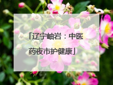 辽宁岫岩：中医药夜市护健康