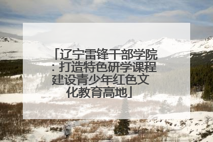 辽宁雷锋干部学院：打造特色研学课程 建设青少年红色文化教育高地
