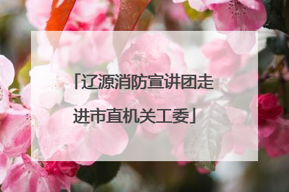 辽源消防宣讲团走进市直机关工委