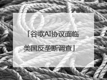 谷歌AI协议面临美国反垄断调查