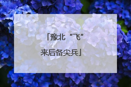 豫北“飞”来后备尖兵