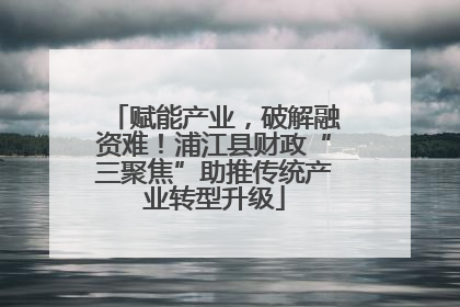 赋能产业，破解融资难！浦江县财政“三聚焦”助推传统产业转型升级