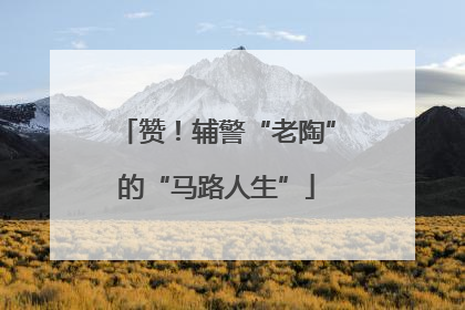 赞！辅警“老陶”的“马路人生”