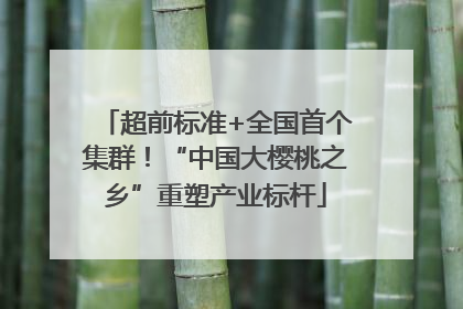 超前标准+全国首个集群！“中国大樱桃之乡”重塑产业标杆