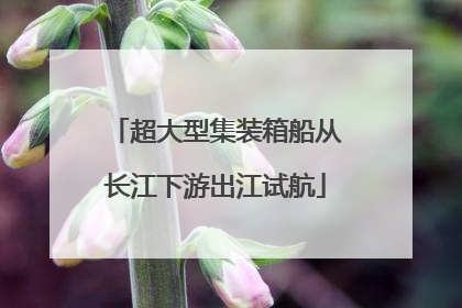 超大型集装箱船从长江下游出江试航