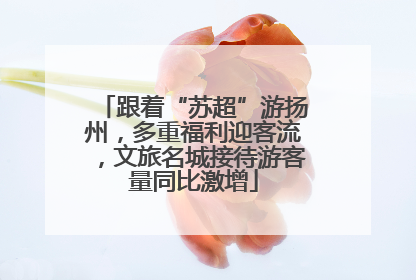 跟着“苏超”游扬州，多重福利迎客流，文旅名城接待游客量同比激增