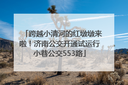 跨越小清河的红墩墩来啦！济南公交开通试运行小巷公交553路