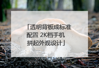 透明背板成标准配置 2K档手机拼起外观设计