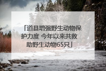 道县增强野生动物保护力度 今年以来共救助野生动物65只