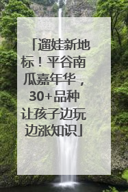 遛娃新地标！平谷南瓜嘉年华，30+品种让孩子边玩边涨知识