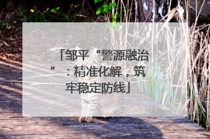 邹平“警源融治”：精准化解，筑牢稳定防线