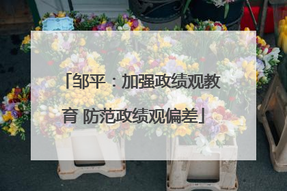 邹平：加强政绩观教育 防范政绩观偏差