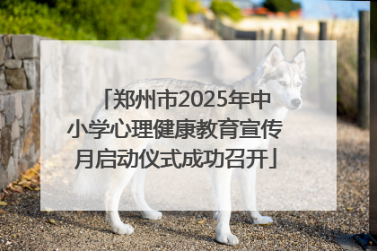 郑州市2025年中小学心理健康教育宣传月启动仪式成功召开