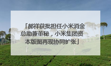郝祥获批担任小米消金总助兼董秘，小米集团资本版图再现协同扩张