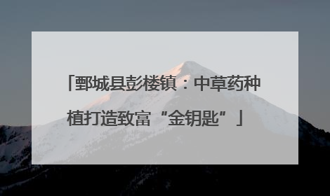 鄄城县彭楼镇：中草药种植打造致富“金钥匙”