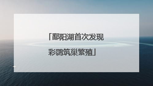 鄱阳湖首次发现彩鹮筑巢繁殖